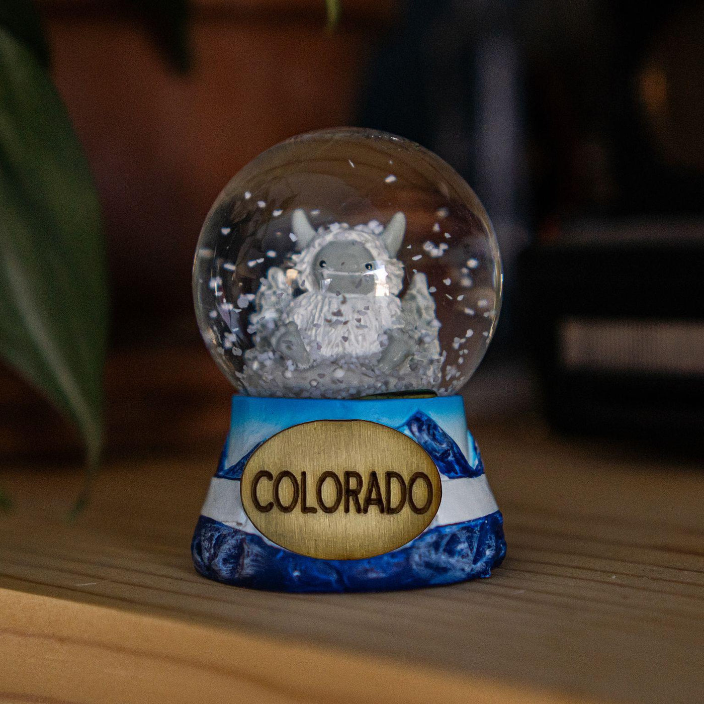 Colorado Souvenirs