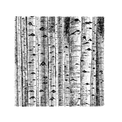 Art by Agostina Large Print 11x14