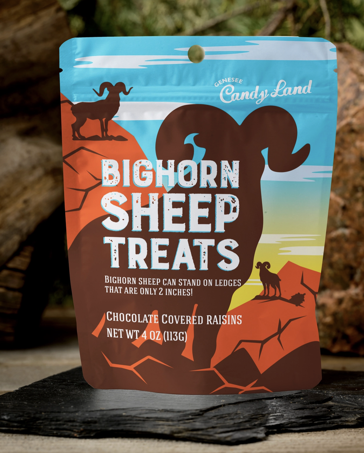 Bighorn Sheep Treats (Chocolate Covered Raisins)