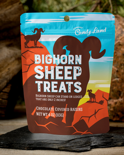 Bighorn Sheep Treats (Chocolate Covered Raisins)