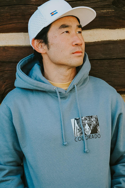 Bear Colorado Hoodie by Andrew Dengate