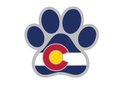 Colorado Enamel Pins