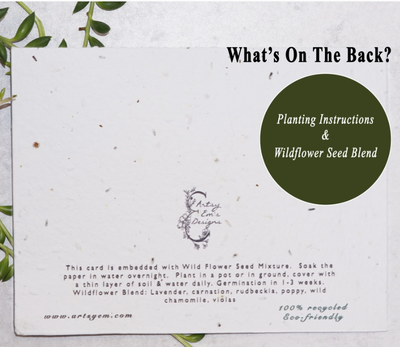 Happy Birthday Wild Flower Seed Paper Greeting Card