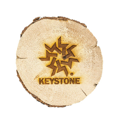 Beetle Kill Wood Coasters
