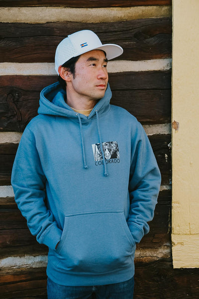 Bear Colorado Hoodie by Andrew Dengate