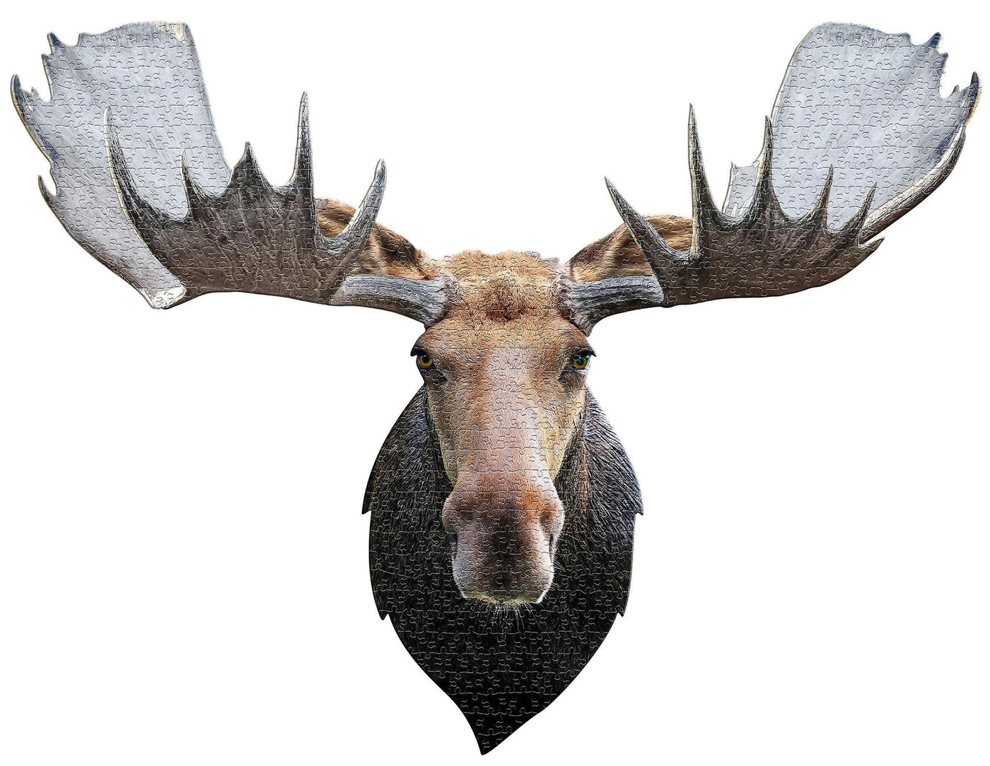 I AM MOOSE 700 PUZZLE
