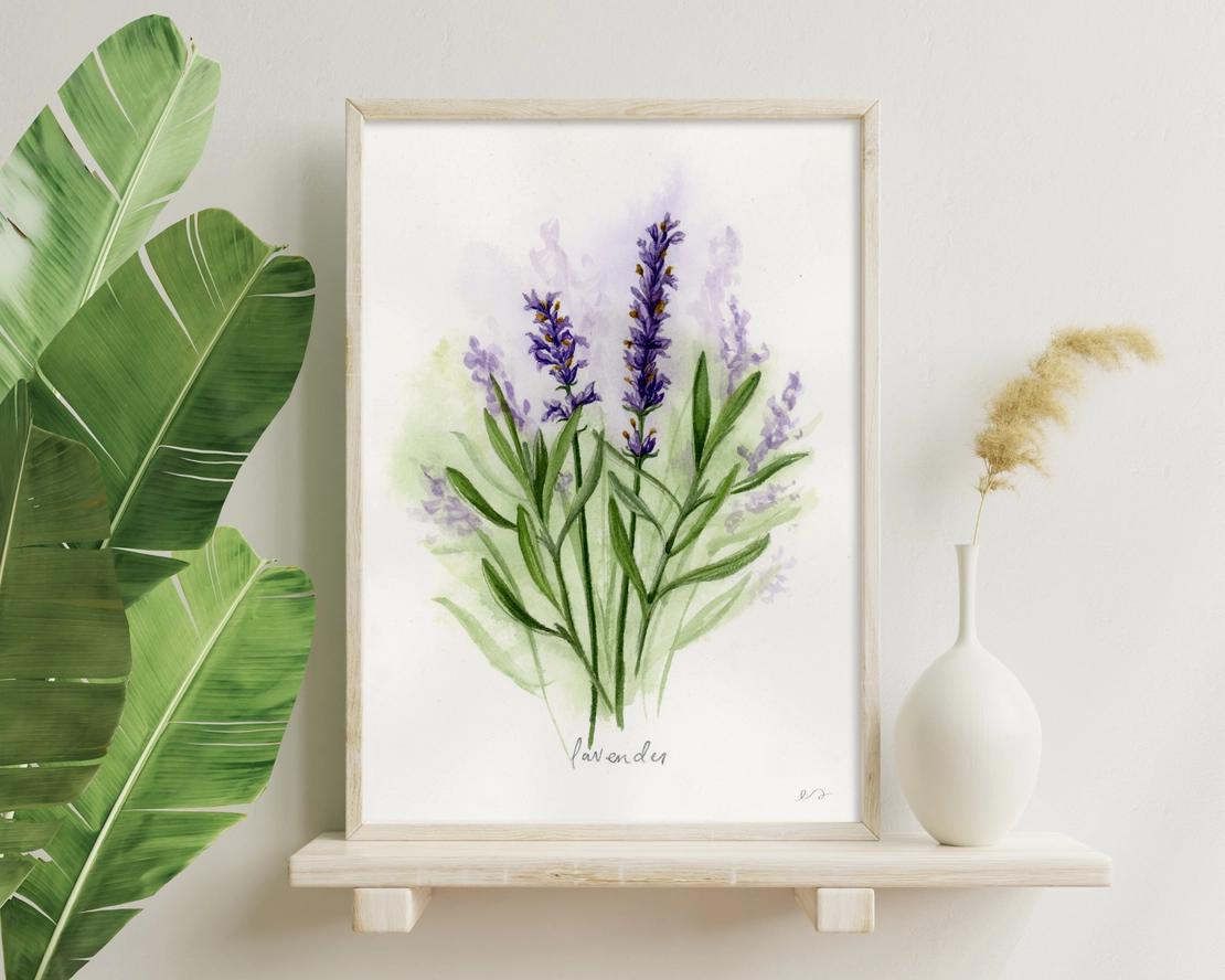 Lavender Art Print