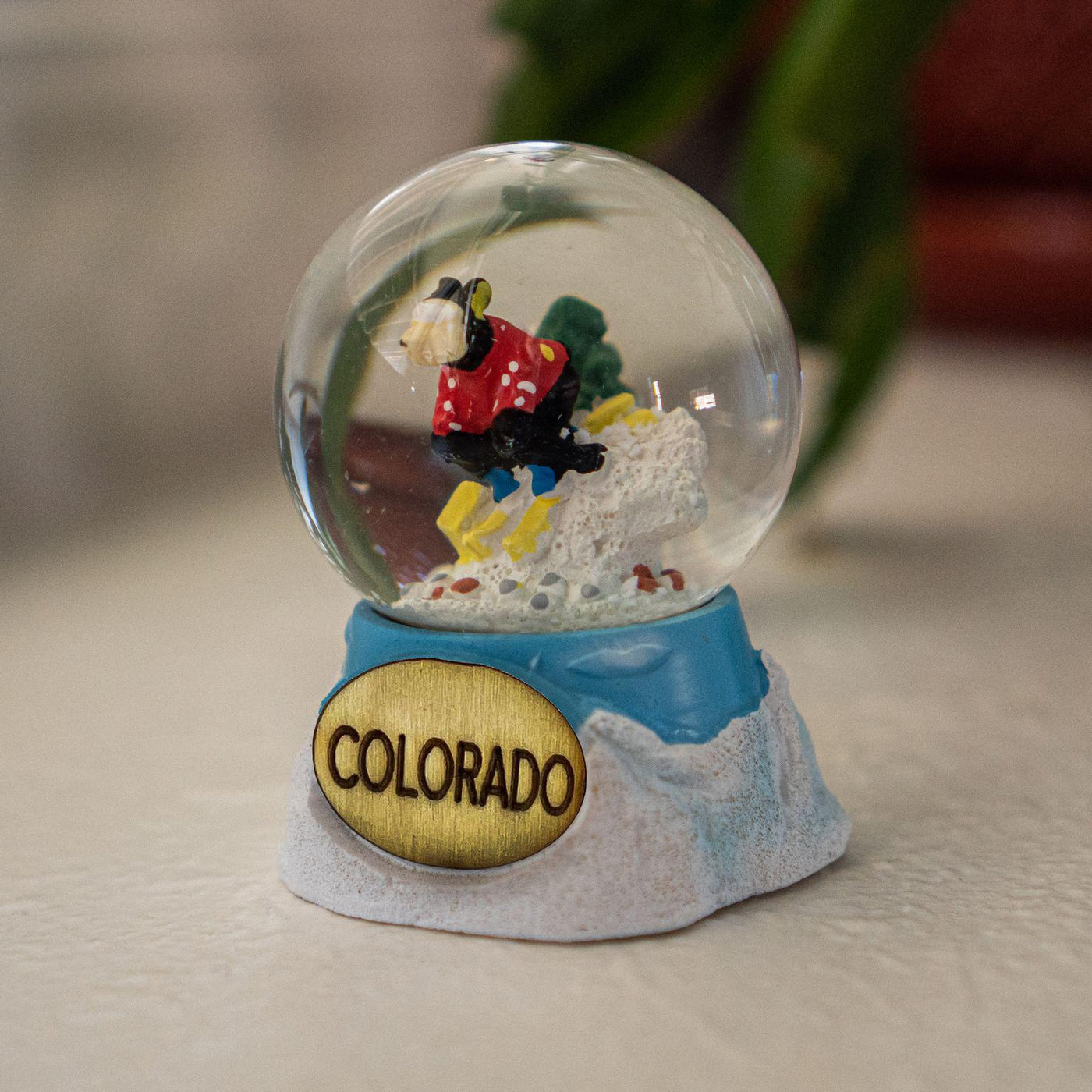Skiing Small Bear Snow Globe
