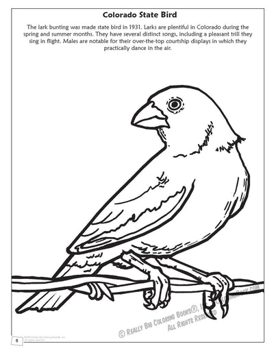 Colorado State Coloring and Activity Book