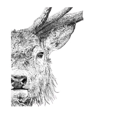 Art by Agostina Small Print 8x10