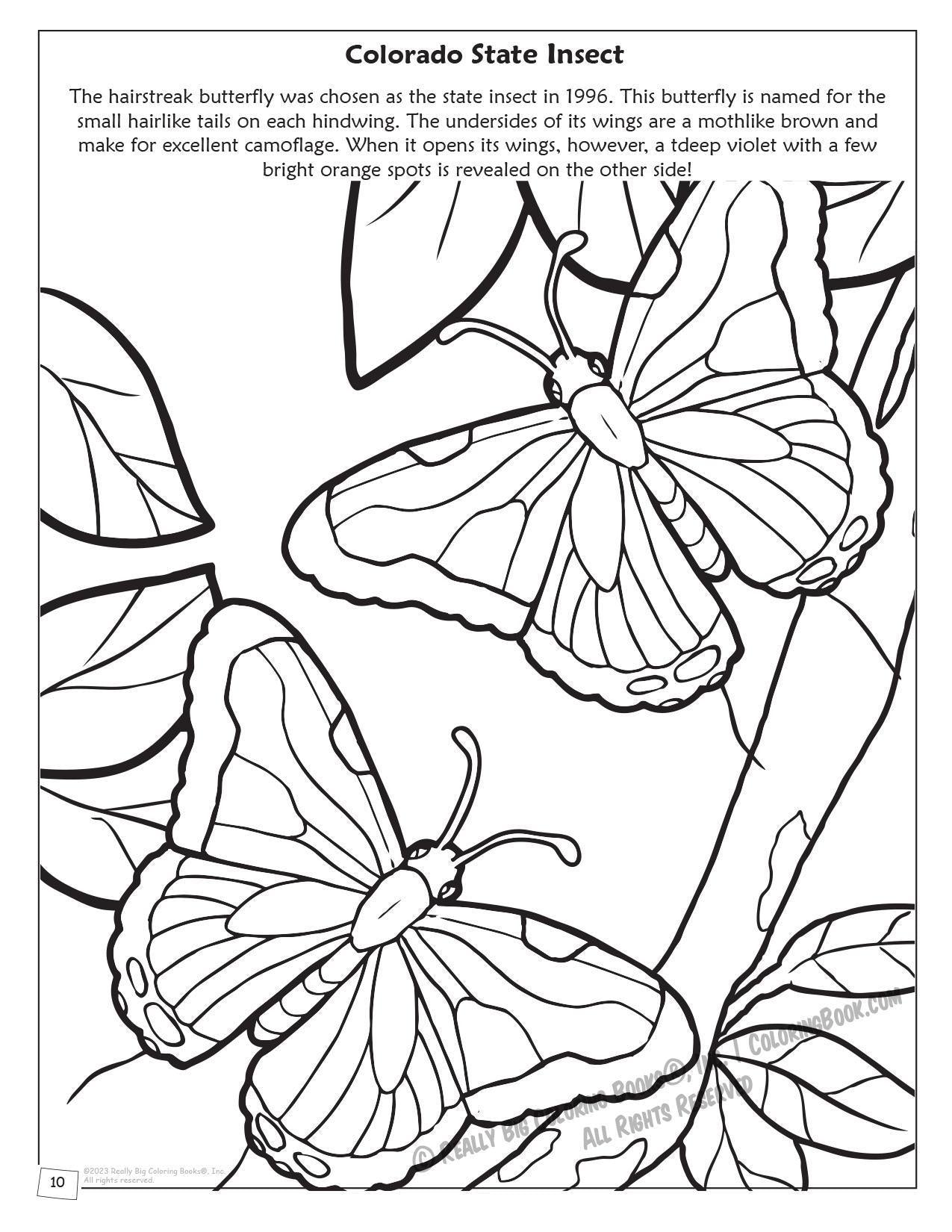Colorado State Coloring and Activity Book