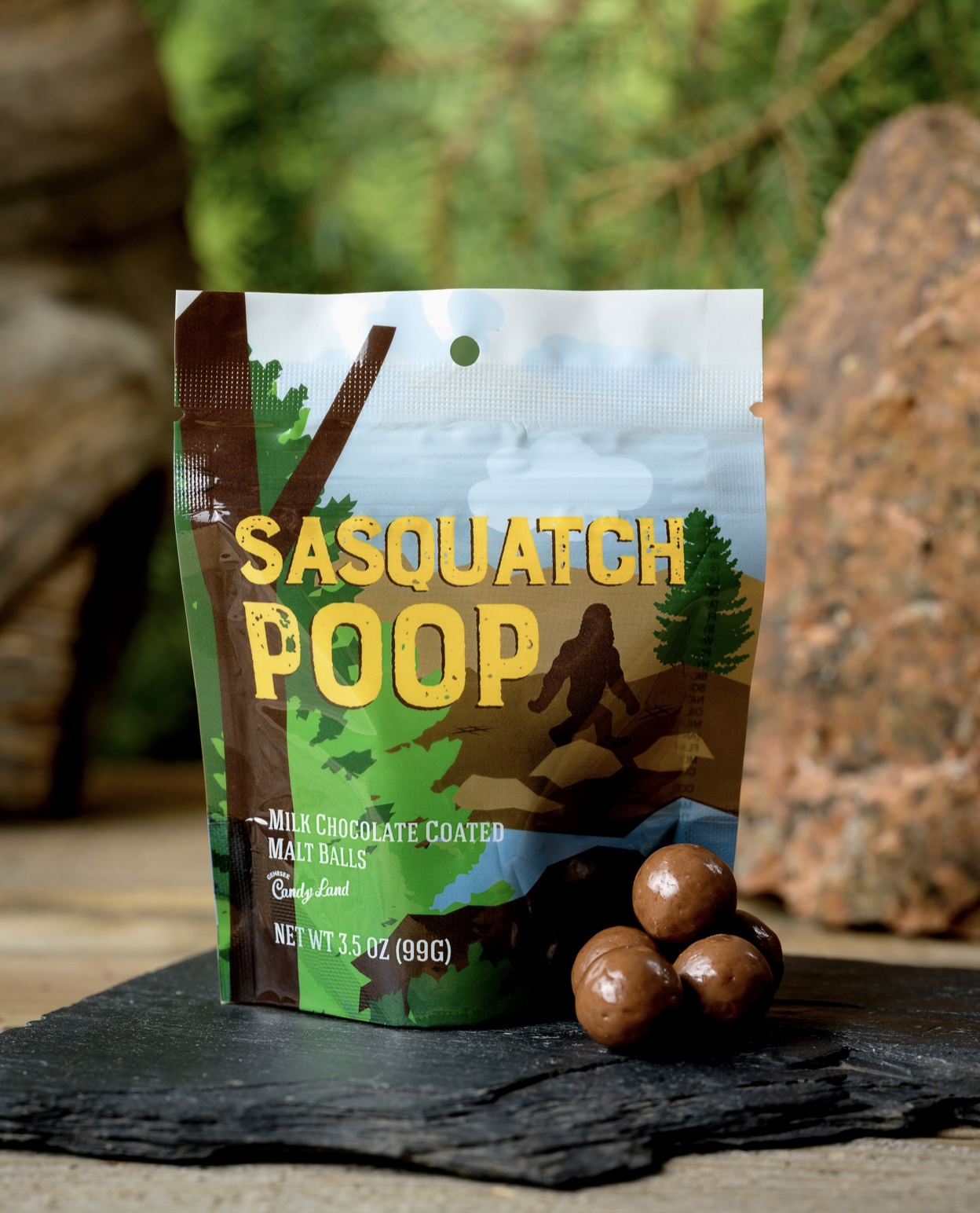 Sasquatch Poop (Chocolate Covered Malt Balls)